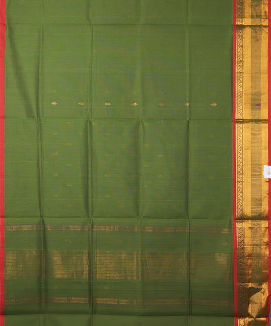 Olive green color handloom venkatagiri cotton saree
