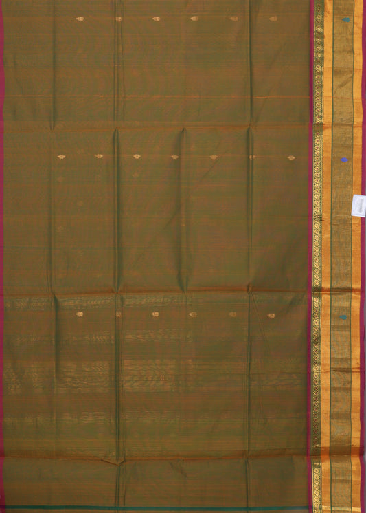 Multi-shade handloom venkatagiri cotton saree