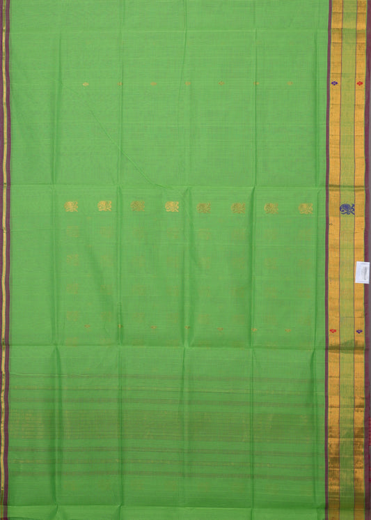 Green color handloom venkatagiri cotton saree