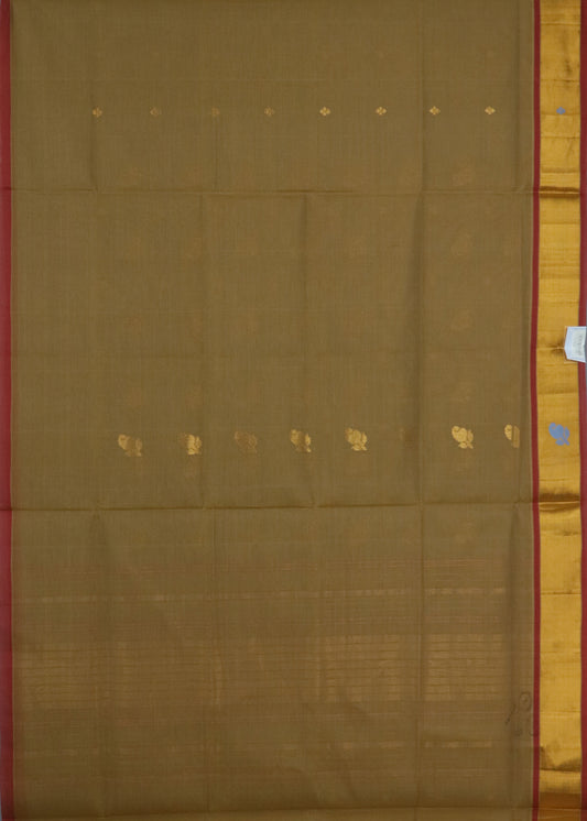 Coffee brown color handloom venkatagiri cotton saree