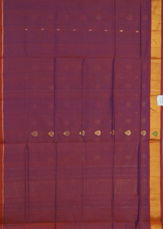Multi-shade color handloom venkatagiri cotton saree