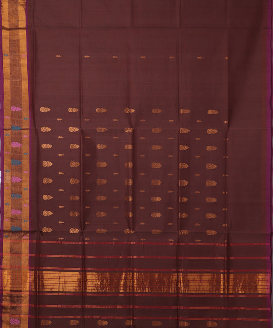 Caramel brown color handloom venkatagiri cotton saree