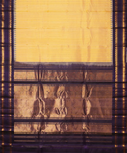 Multi-shade handloom Gadwal Silk saree