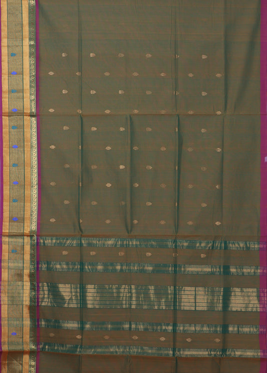 Multi-shade handloom venkatagiri cotton saree