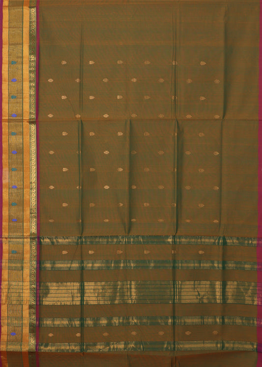 Multi-shade handloom venkatagiri cotton saree