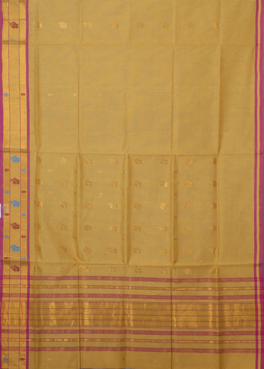 Amber color handloom venkatagiri cotton saree