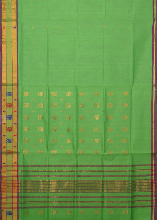 Green color handloom venkatagiri cotton saree