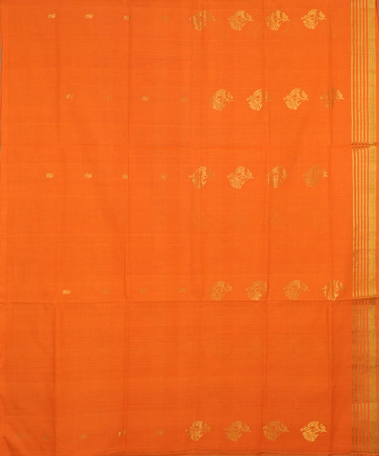 Tiger orange handloom Rajahmundry fancy cotton saree
