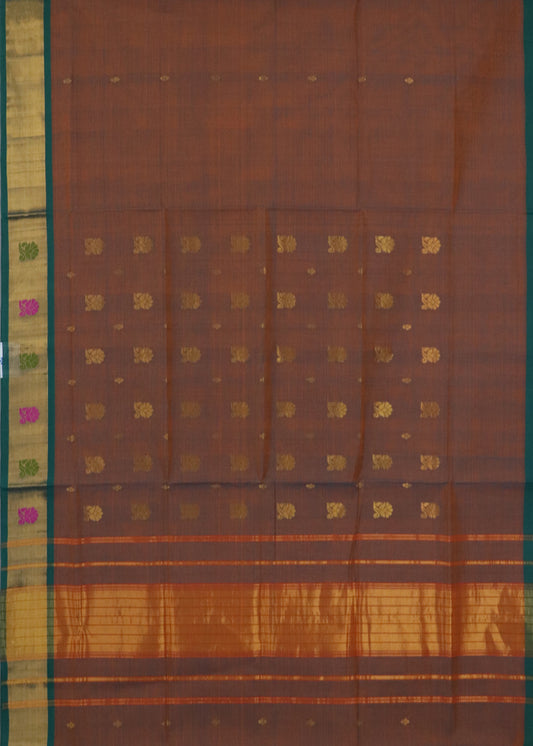 Multi-shade color handloom venkatagiri cotton saree