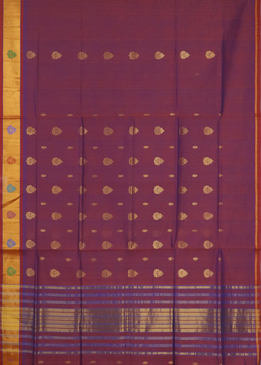 Multi-shade color handloom venkatagiri cotton saree